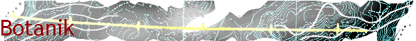Botanik