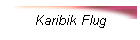 Karibik Flug